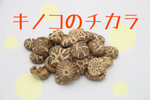キノコでビタミンD取りましょう